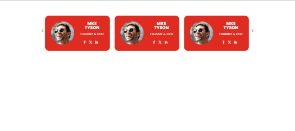 Slick Slider Layout 08